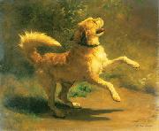 Springender Hund Rudolf Koller